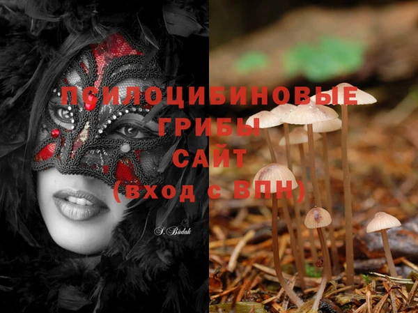 стафф Зеленокумск