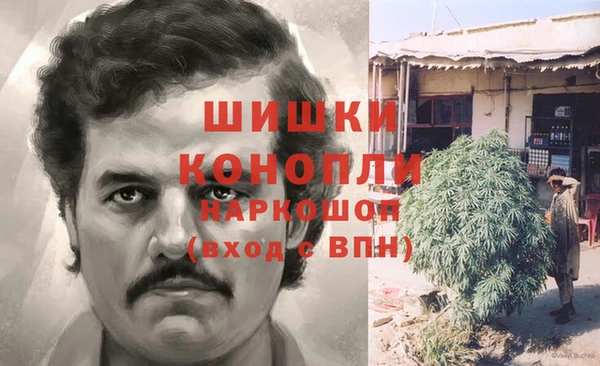 ПСИЛОЦИБИНОВЫЕ ГРИБЫ Зеленодольск