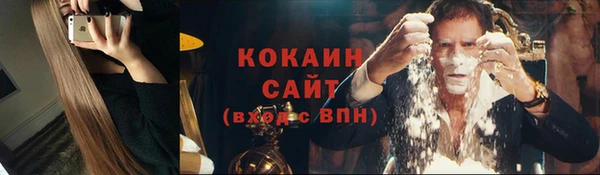 ПСИЛОЦИБИНОВЫЕ ГРИБЫ Зеленодольск