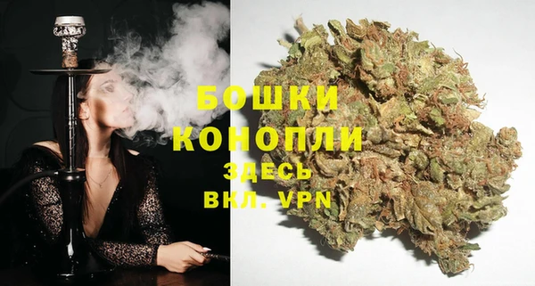 стафф Зеленокумск