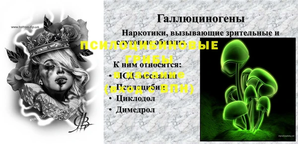 ПСИЛОЦИБИНОВЫЕ ГРИБЫ Зеленодольск