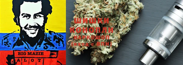 стафф Зеленокумск